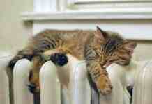 Департамент ЖКГ усунув всі пориви під час гідровипробування в Кам’янському, – місто готове до опалювального сезону на 98%