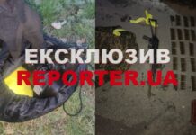 В Дніпрі біля Самарського моста чоловік знайшов рюкзак з боєприпасами