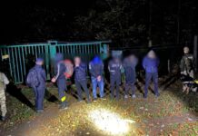 Намагався уникнути призову: Прикордонники затримали чоловіка з Кривого Рогу в лісі на кордоні зі Словаччиною