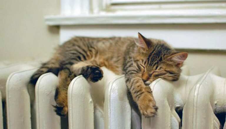 У Кам’янському опалювальний сезон розпочнеться з 1 листопада