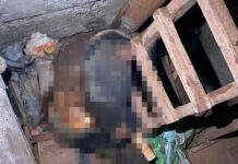 До цього вбив 13-річного хлопця: у Дніпрі 59-річний чоловік вбив пенсіонера та кинув тіло у підвал