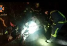 Рятувальники витягли корову з 10-метрової ями