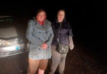 Пішли по гриби та заблукали: В Павлограді лісники та поліція розшукали двох жінок