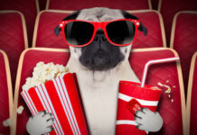 Куди сходити: програма заходів у закладах культури Кам’янського з 19 по 26 жовтня