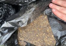 1,5 т макової соломки під виглядом комбікорму: Поліція затримала мешканця Харкова, який відправив собі посилку з Запоріжжя