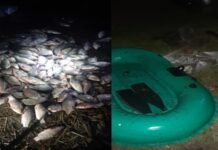 Наловив на 200 тис. грн.: В Петриківському районі Дніпропетровщини патрульні затримали браконьєра з гумовим човном