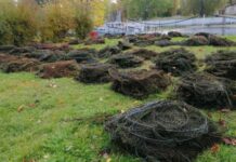 Запорізький рибпатруль врятував майже 1,5 тис. раків в акваторії Каховського водосховища поруч з «сірою зоною»