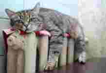 У Кам’янському з понеділка почнуть заповнювати системи опалення будинків: графік