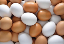 Ціни на яйця в Україні: коли чекати на здешевлення