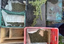 У Дніпровському районі чоловік зберігав у себе вдома наркотики на 200 тисяч гривень