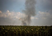 Окупанти знову вдарили по Сумській області: у деяких районах зникла електроенергія