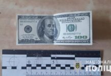 У Запорізькій області водій пропонував поліції 100 доларів: хотів спокійно кататися нетверезим