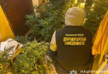 У Запоріжжі затримано квартирного наркоаграрія
