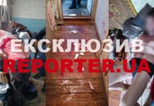 Різана рана лівої молочної залози та ЗЧМТ: у Дніпрі чоловік накинувся на жінку з ножем