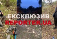 «Спиляти сухостій та трохи для продажу»: у Дніпрі затримали спилювачів дерев