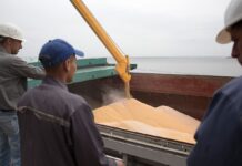 Стало відомо, коли РФ вирішила припинити транзит суховантажів “зерновим коридором”