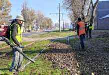 У Кам’янському комунальники прибирають листя вздовж трамвайних колій