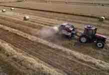 В ООН прогнозують рекордне зростання світових витрат на імпорт продовольства