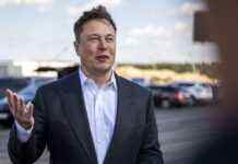 Сенатори США хочуть розслідувати діяльність Маска на посаді глави Twitter