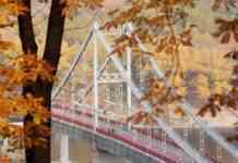 Сьогодні дощі можливі в шести регіонах України: синоптик дала прогноз