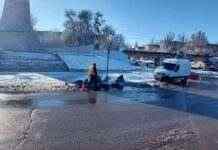 В Камʼянському працівники комунальних служб чистили дощоприймачі біля стели Воїнам-визволителям