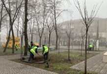 В Камʼянському йде активне прибирання палої листви на прибудинкових територіях і підготовка до зимового періоду