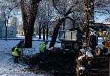 Комунальники чепурять місто: у Кам’янському триває прибирання опалого листя