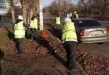 Комунальники Камʼянського звітували, як проходило прибирання листя на початку грудня