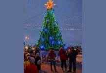 Зусиллями влади та підприємців: у Камʼянському встановлять скромну новорічну ялинку