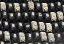 Понад 400 одиниць техніки для України. У мережі показали фото з німецького порту Бремергафен