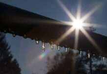 Від морозів до відлиги. Синоптик розповіла, коли в Україну прийде потепління