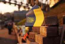 Янукович постійно спілкувався із Медведчуком під час розстрілів активістів на Майдані