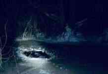 Почали шукати тільки через 3 години. В Київській області загинула дитина