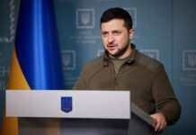 Зеленський заявив, що офіційно не бачив від Китаю жодного “мирного плану”