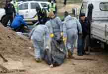 Комісар ООН: дані про загибель понад 8 тисяч мирних українців – верхівка айсберга