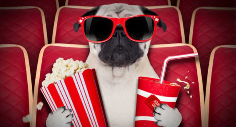 Афіша заходів у кіно, бібліотеках і театрі Кам’янського з 8 по 15 березня