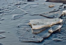 Пішов рибалити і не повернувся: на Павлоградщині виявили загиблого чоловіка у річці