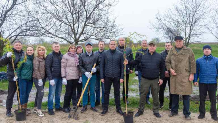 У Кам’янському посадили молоді дерева