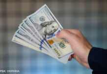 Перекази трудових мігрантів упали на 15%: скільки надійшло в Україну з початку року