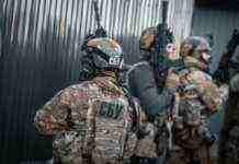 “Допомагав” ввозити готівку за “відкати”. СБУ затримала чиновника Одеської митниці