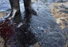 Рішення ОПЕК+ про скорочення видобутку нафти не таке погане, як ви думаєте, – Байден