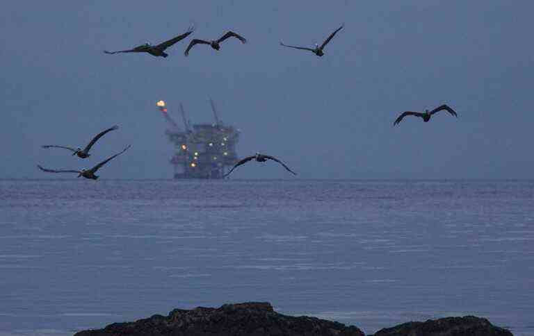 Нафта дорожчає після падіння до місячного мінімуму: що вплинуло на світові ціни