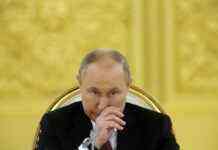 “У бункерах ніколи не сидів”. Пєсков нафантазував про активність Путіна