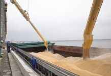 Угорщина посилює контроль за транзитом українського зерна