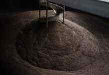 Міністр агрополітики обговорить експорт зерна з колегами з Польщі, Румунії та Словаччини