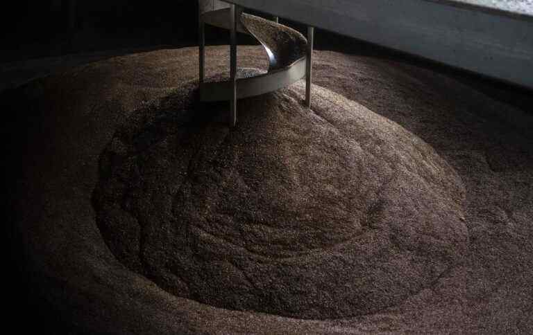 Міністр агрополітики обговорить експорт зерна з колегами з Польщі, Румунії та Словаччини