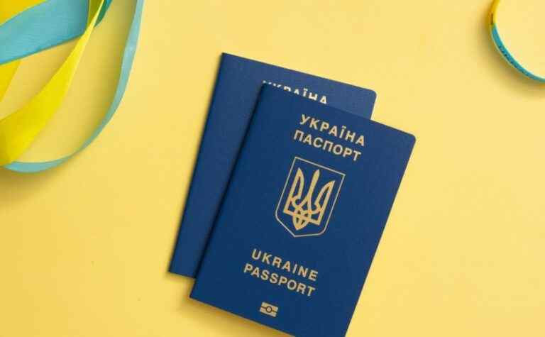 У Кривому Розі грузин викрав український паспорт