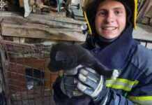 Застрягло у гратах: у Кривому Розі рятувальники визволили цуценя з пастки