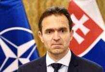 Прем’єр Словаччини хоче використати доходи від заморожених активів РФ для допомоги Україні