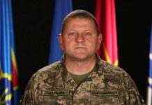 Це не шоу, кожен метр дається кров’ю. Залужний висловився про “повільний” контрнаступ ЗСУ